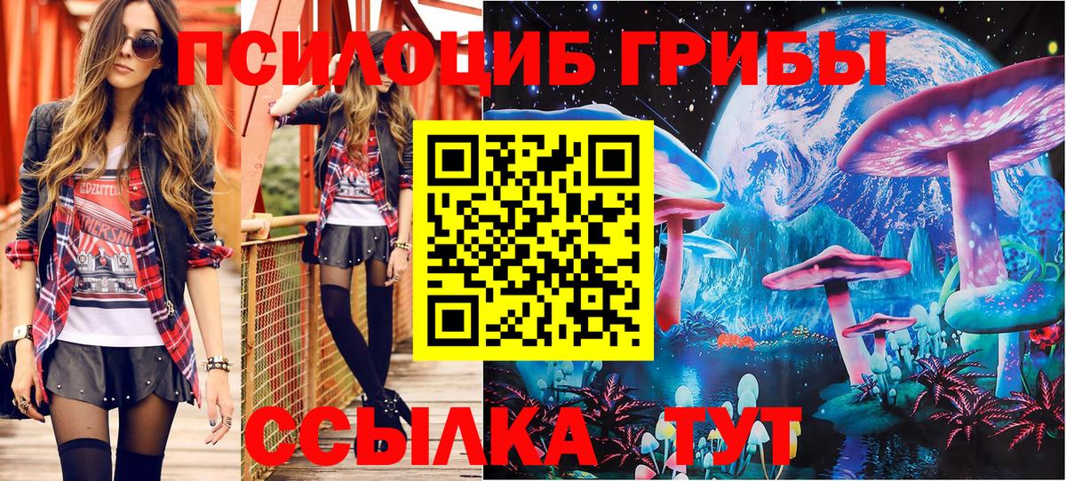 Гурьевск  Галлюциногенные грибы Psilocybine cubensis  Вход с VPN  Псилоцибиновые грибы MAGIC MUSHROOMS 
