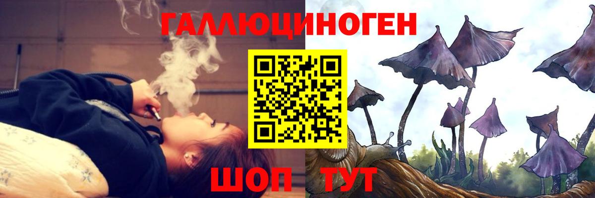 Галлюциногенные грибы Magic Shrooms Гурьевск